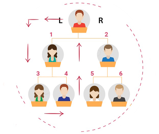  Board mlm plan Software, MLM Software, Binary, Matrix Plan, Help Plan Software, Donation,